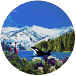 gustav - rettet die wale