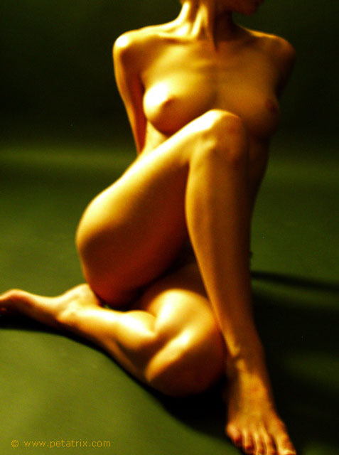 Sensuous Photography Fine Nude Art Photography aktfoto Visit my website