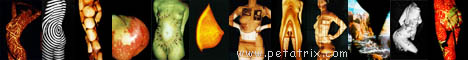 petatrixbanner-2-468x60