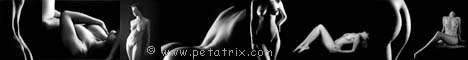 petatrixbanner