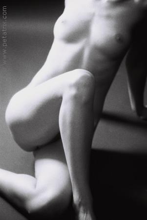 torso III