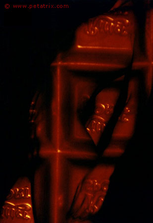 aktphoto