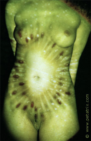 akt frucht kiwi projektion torso