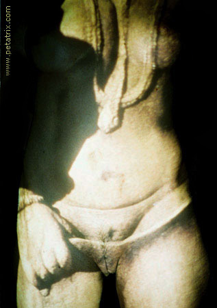 fine nude art photography