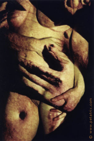 fine nude art photography