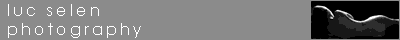luc selen