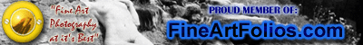 www.fineartfolios.com