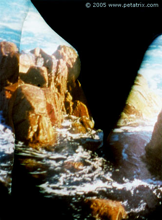 kunstphotos