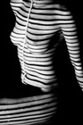 torso