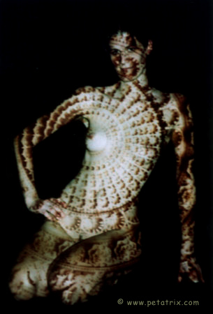 akt