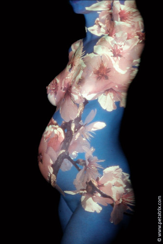 Aktfoto in Farbe - Projektion: Babybauch, Schwangerschaft