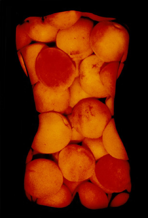 apricot torso