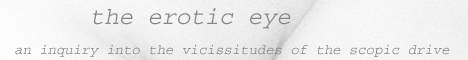 The erotic eye and its nude. An inquiry into the vicissitudes of the scopic and phanic drive