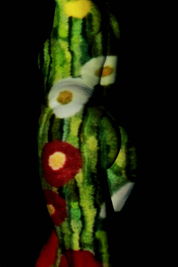 Aktfoto in Farbe - Projektion: GemÃ¤lde Klimt Blumenwieset