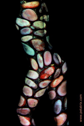 Aktfoto in Farbe - Projektion: Muster, Steine
