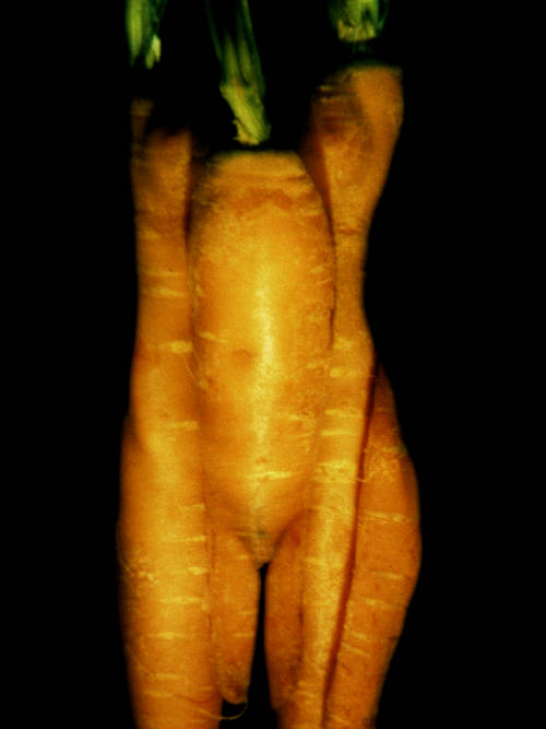 Aktfoto in Farbe - Projektion: Gemüse, Karotten